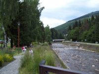 100_4245.JPG